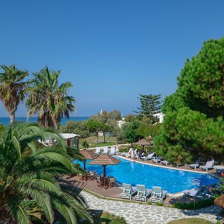 Alkyoni Beach Hotel Naxos City Exterior photo